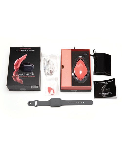 Clandestine Devices Companion Panty Vibe W/wearable Remote - Coral