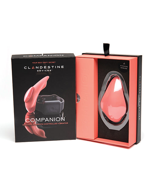 Clandestine Devices Companion Panty Vibe W/wearable Remote - Coral