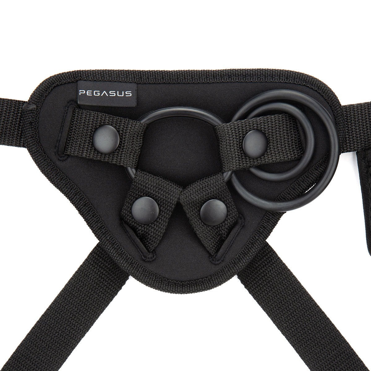 Pegasus 6" Curved Realistic Peg & Harness Set